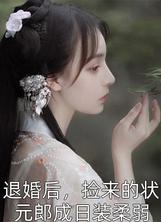 穿越大明：我要做大西之王